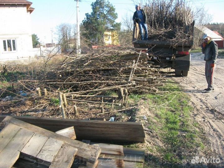 Вывоз любого вида мусора