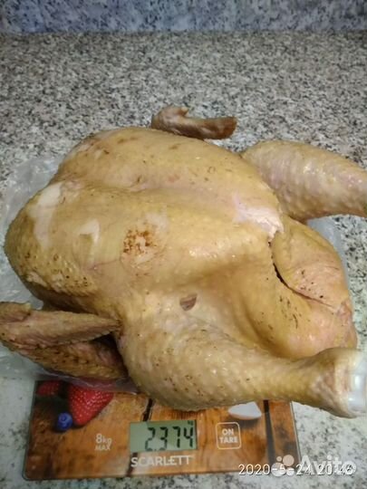 Мясо домашней птицы+бройлеры