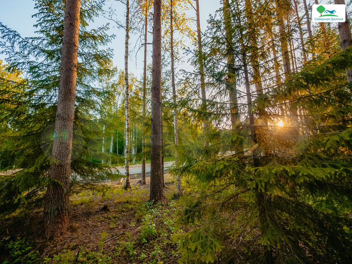 Участок 6 сот. (СНТ, ДНП)