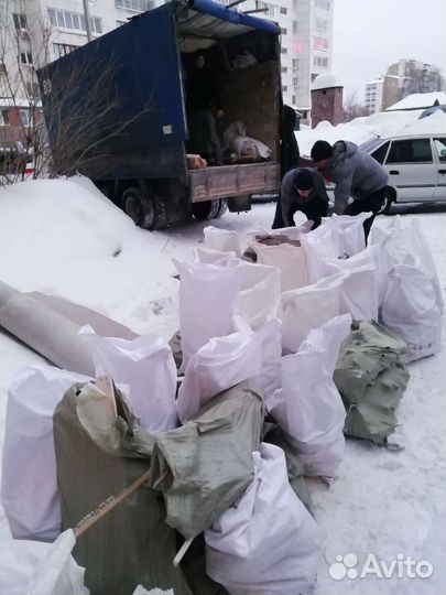 Вывоз мусора. Вывоз строительного и бытового мусор