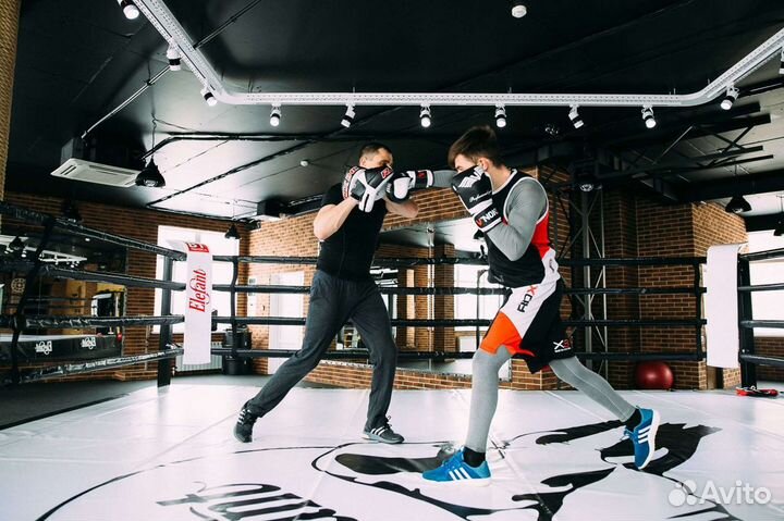 Тренер по боксу