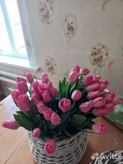 Цветы тюльпаны букеты