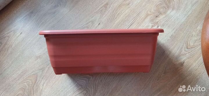 Ящик для рассады