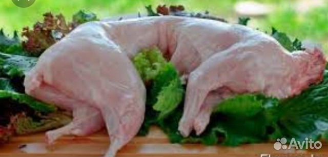 Привезем на дом,в черте города,охл. мясо кролика