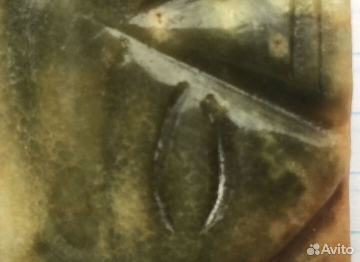 Брошь винтаж жадеит натуральный