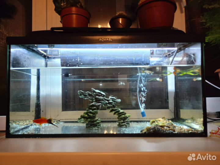 Аквариум 60 литров
