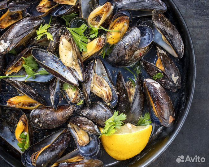 Устрица и мидия черноморская оптом и в розницу