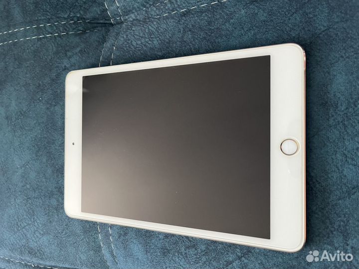 iPad mini 4