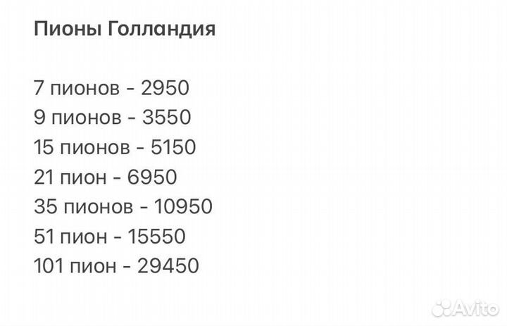 Пионы Голландские опт