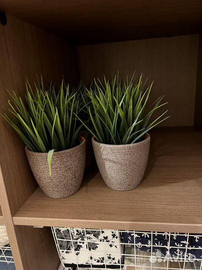Цвкты в горщках IKEA (икея)