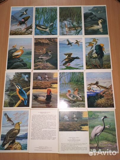 Наборы открыток из СССР