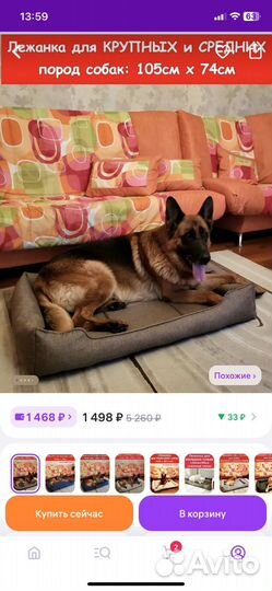 Собачья лежанка