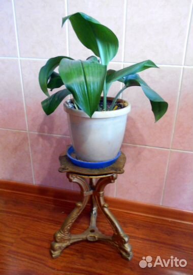 Подставка под цветы