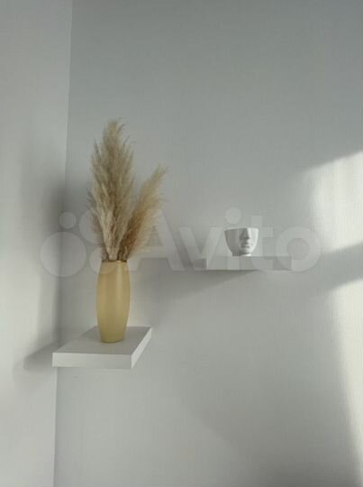 Квартира-студия, 24 м², 12/12 эт.