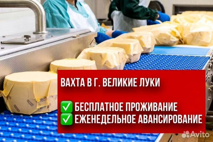 Укладчик-упаковщик сыра. Вахта г. Великие Луки