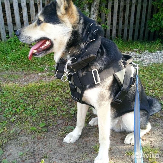 Шлейка для защиты