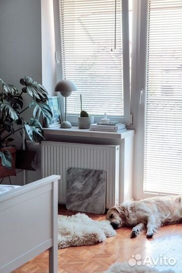 Горизонтальные жалюзи зеленого цвета