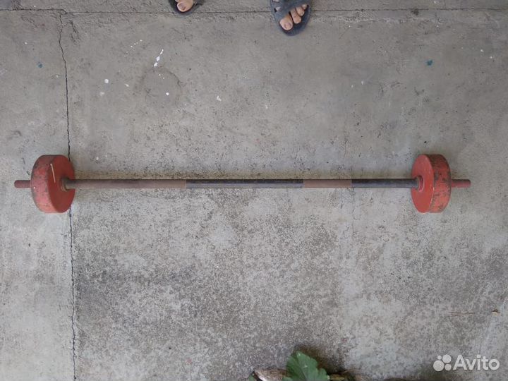 Штанга с блинами/гриф