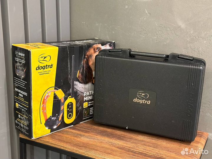 Dogtra Pathfinder 2 mini