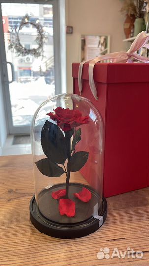 Роза в колбе