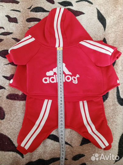 Одежда для собак мелких пород