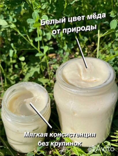 Аккураевый мед