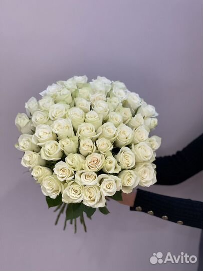 Розы доставка букет роз, розы опт 51 роза 101 роза