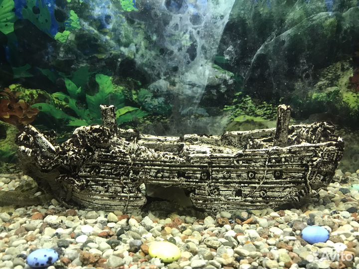 Аквариум и рыбки