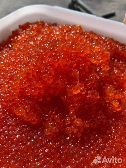 Икра горбуши ооо 