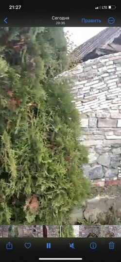 Участок 16,5 сот. (ИЖС)