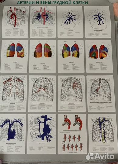 Медицинские плакаты