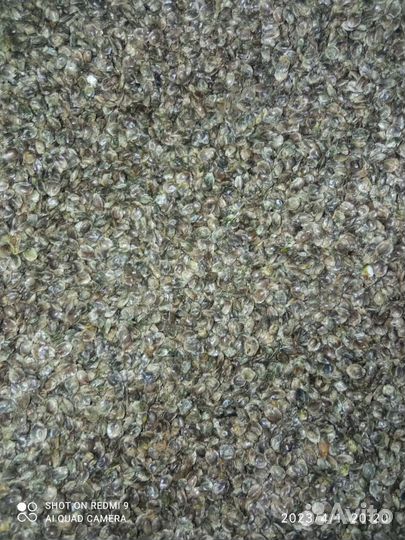 Жмых конопляный и льняной