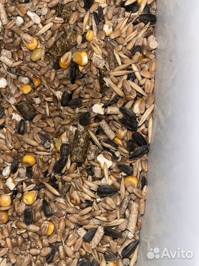Продам корм для хомяков и мышей