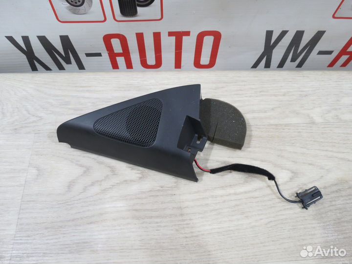 Динамик Volkswagen Tiguan