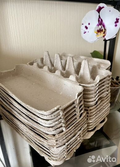 Лотки для хранения яиц 55 шт контейнеры с крышкой