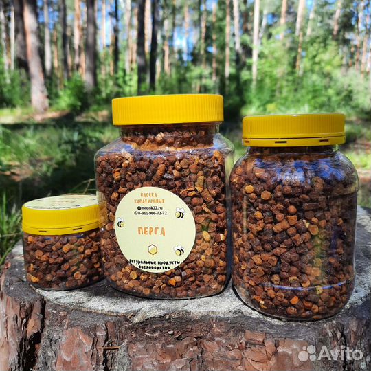 Перга пчелиная (сбор 2023)