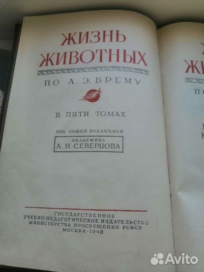 Жизнь животных книга 1948г. А. Э. Брем