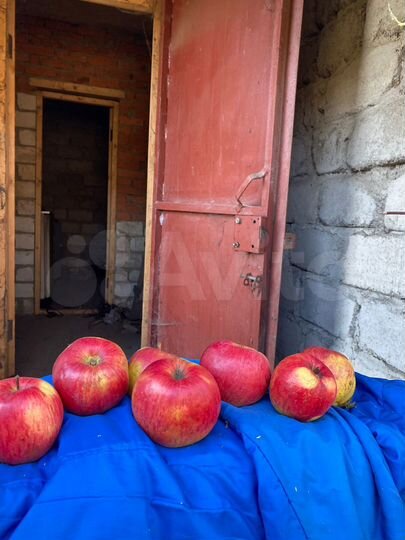 Дом 63 м² на участке 6 сот.