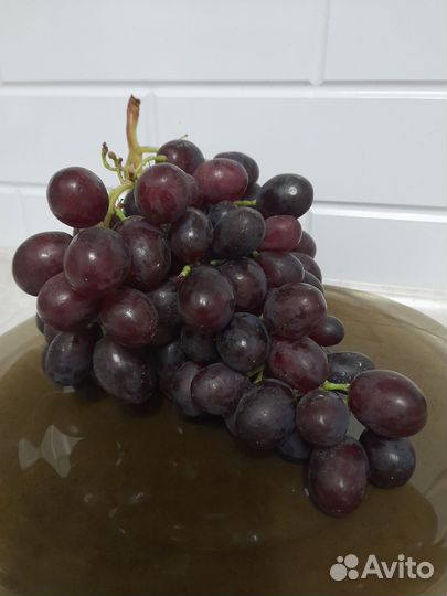 Черенки винограда