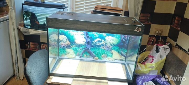 Аквариум