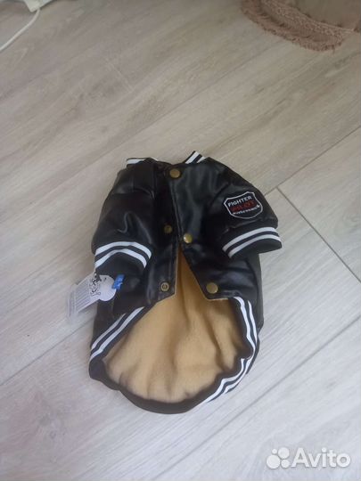 Одежда для маленьких собак