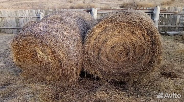 Сено в рулонах