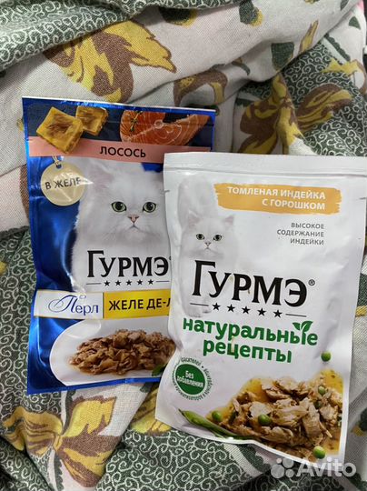 Влажный корм для кошек