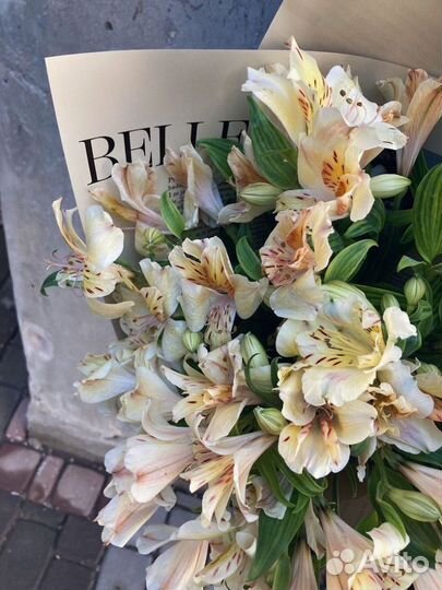 Альстромерии на заказ