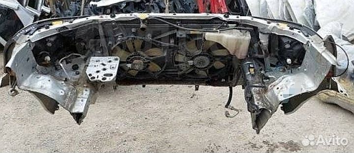 Ноускат lpsym