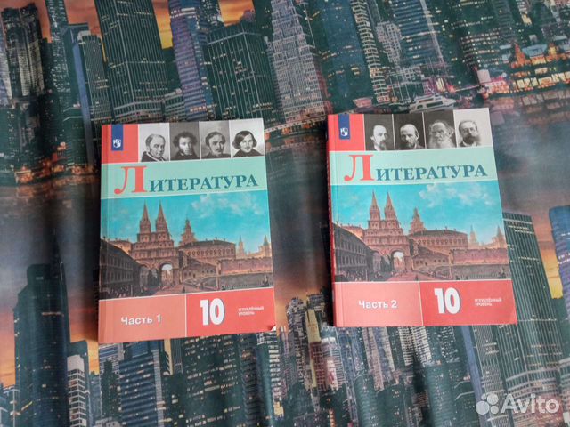 Учебник литературы за 10 класс в двух частях