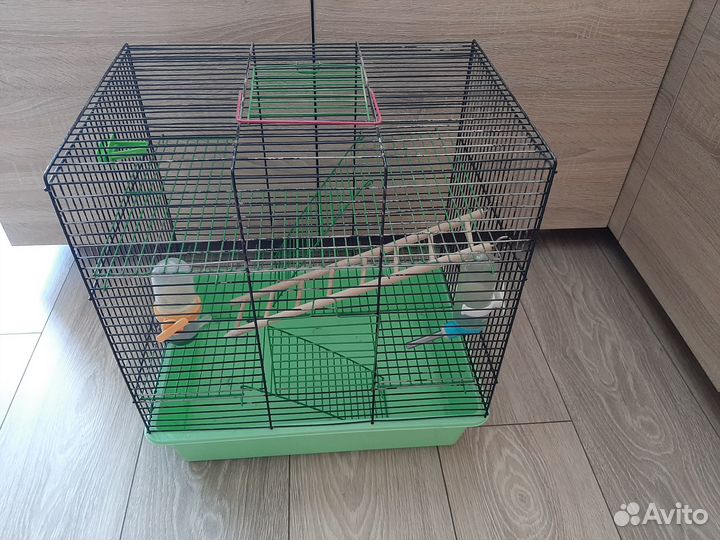 Аквариум и клетка для грызунов