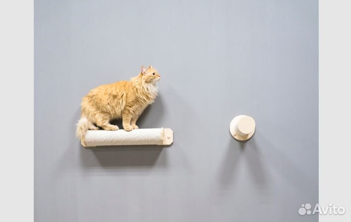 Игровой настенный комплекс для кошек