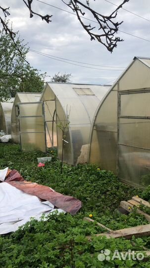 Теплица капля поликарбонат бу.3 на 12