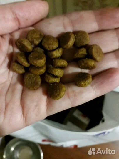 Корм Хилз для собак,всегда свежий